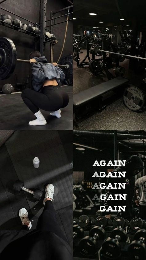 Programme Fitness