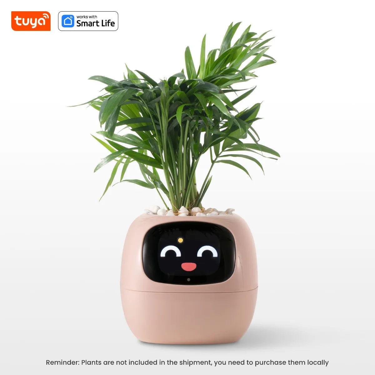 Tuya Ivy Smart Planter,Endless Fun Over