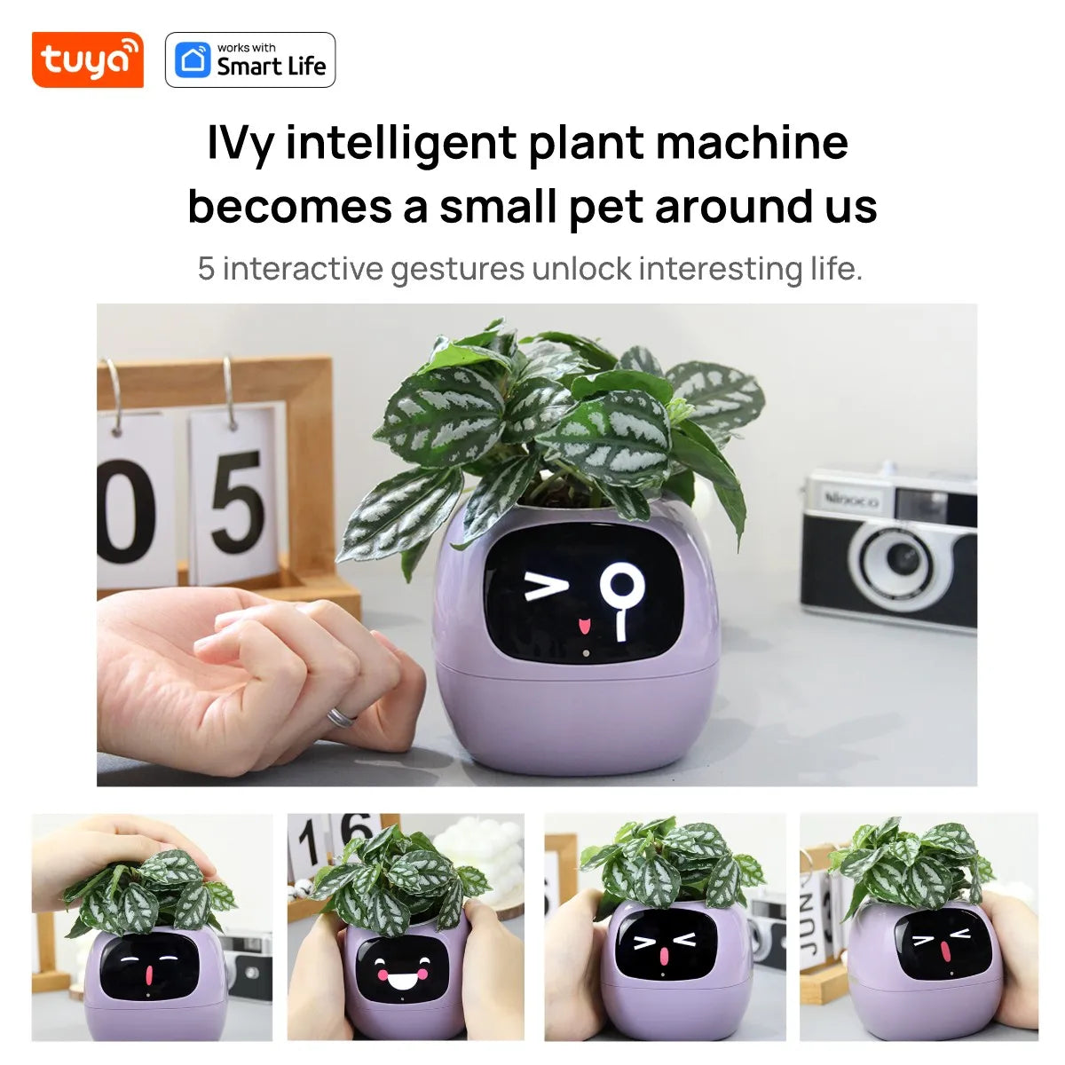 Tuya Ivy Smart Planter,Endless Fun Over