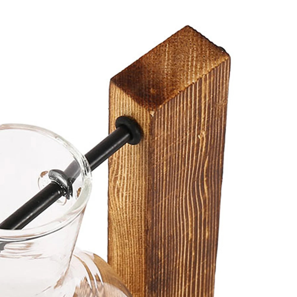 Creative Glass Desktop Planter