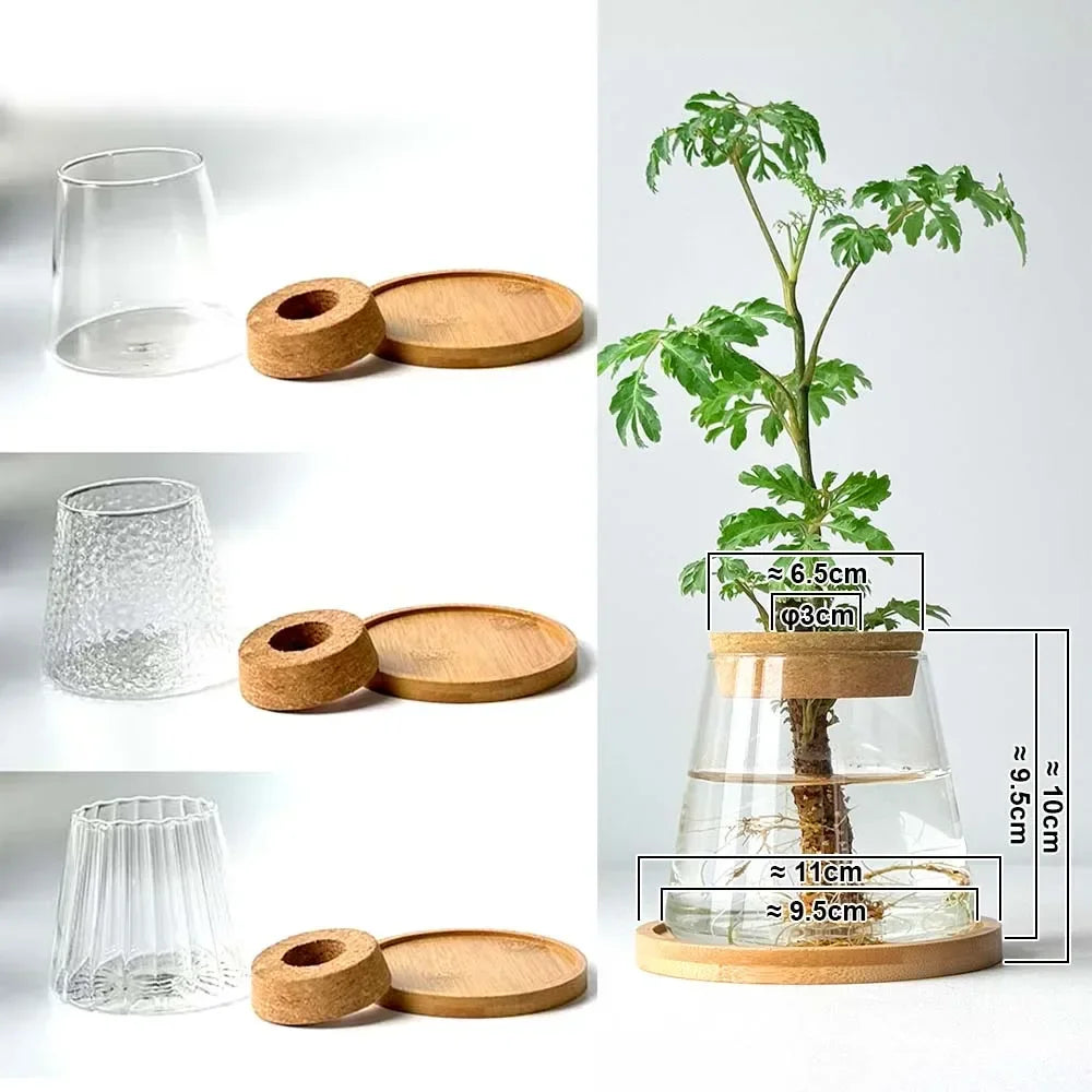 Glass Flower Pots Home Decoration