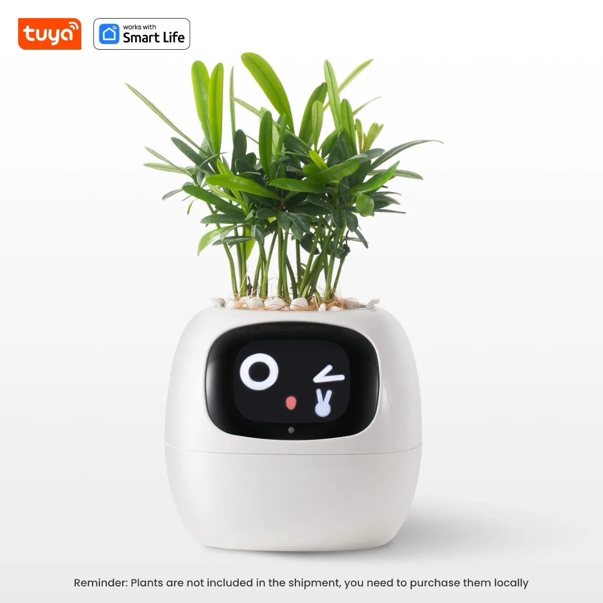 Tuya Ivy Smart Planter,Endless Fun Over
