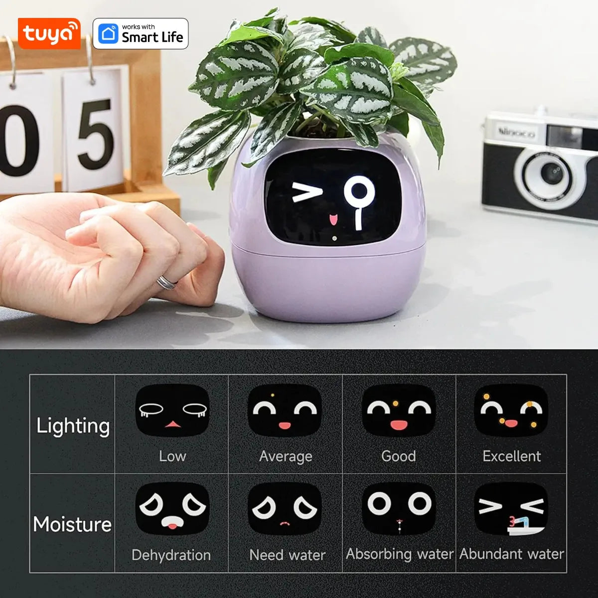 Tuya Ivy Smart Planter,Endless Fun Over