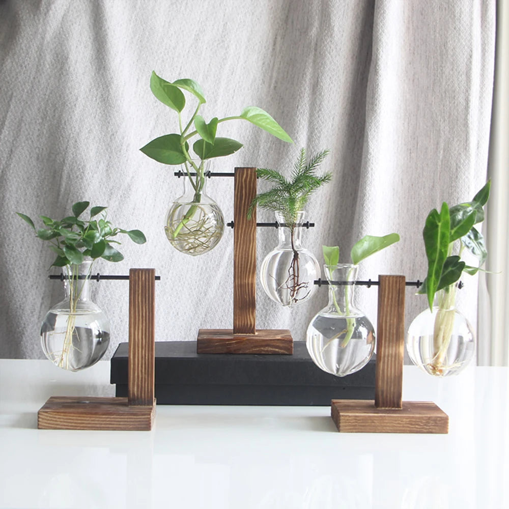 Creative Glass Desktop Planter