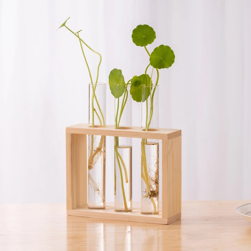 Transparent Glass Test Tube Vase