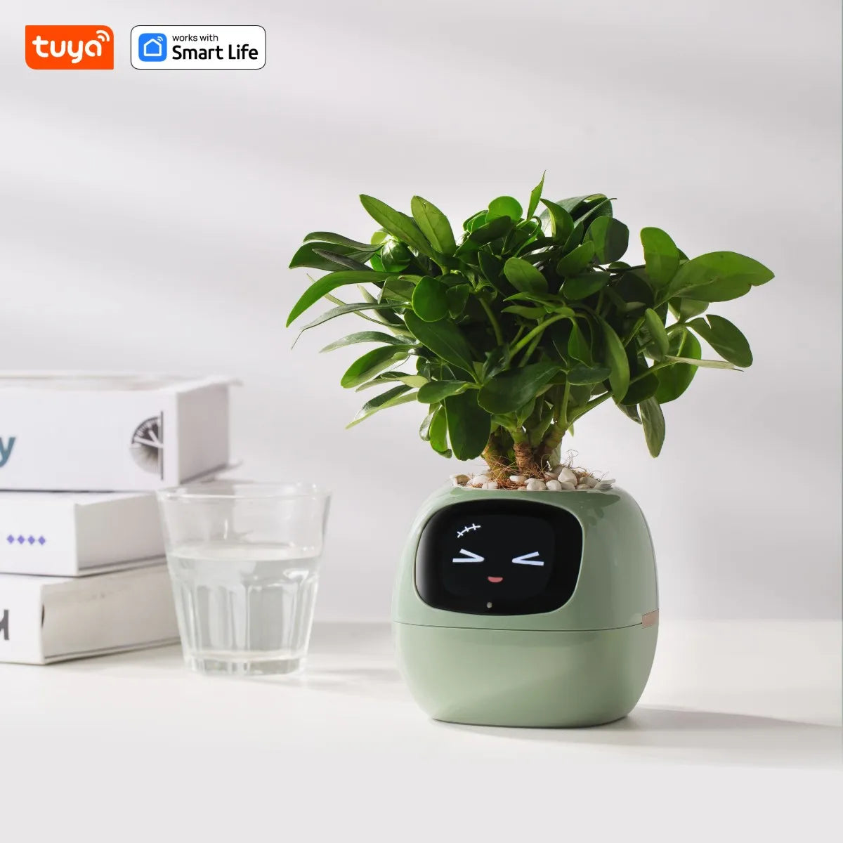 Tuya Ivy Smart Planter,Endless Fun Over