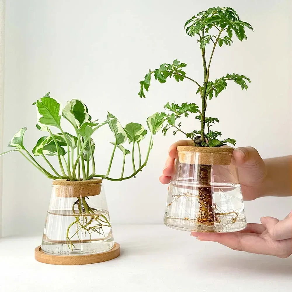 Glass Flower Pots Home Decoration
