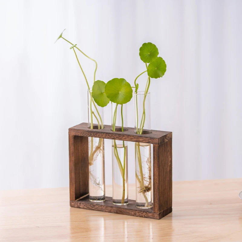 Transparent Glass Test Tube Vase