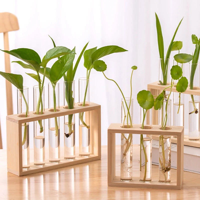 Transparent Glass Test Tube Vase