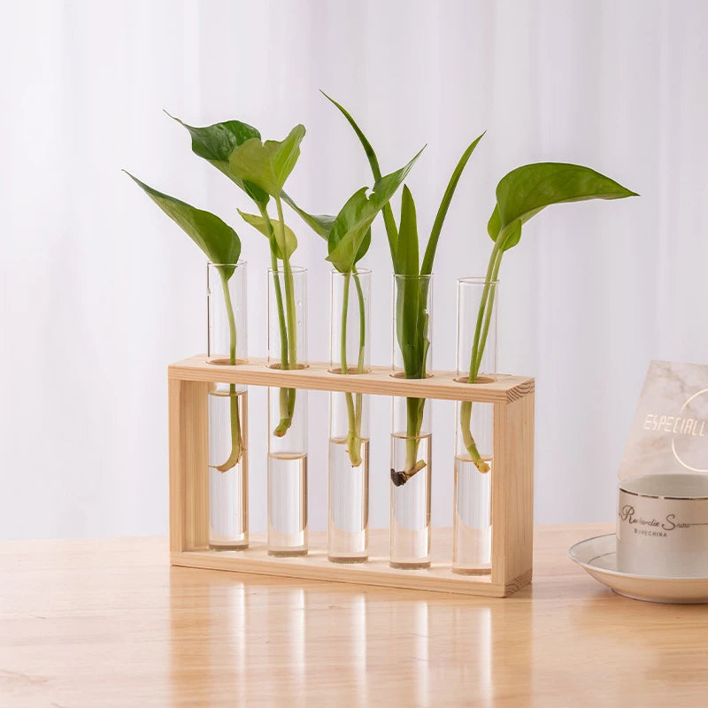 Transparent Glass Test Tube Vase