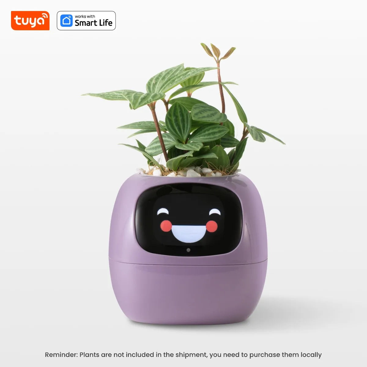 Tuya Ivy Smart Planter,Endless Fun Over