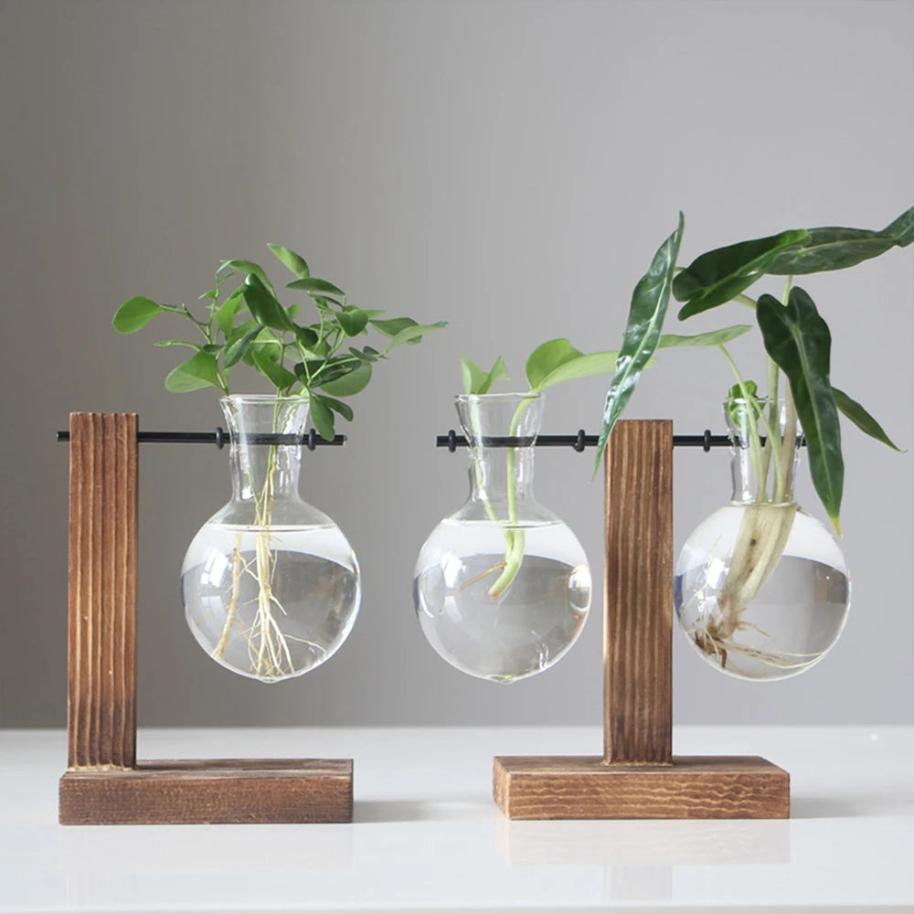 Creative Glass Desktop Planter