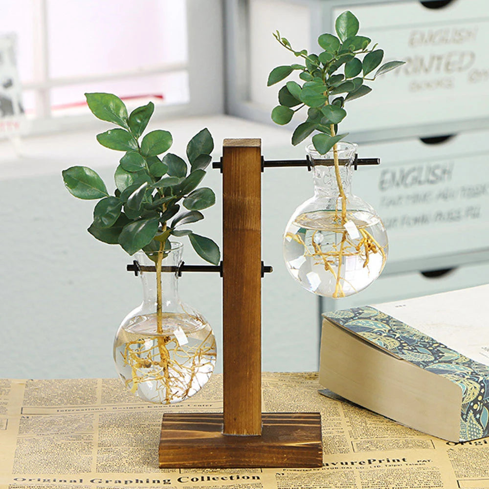 Creative Glass Desktop Planter