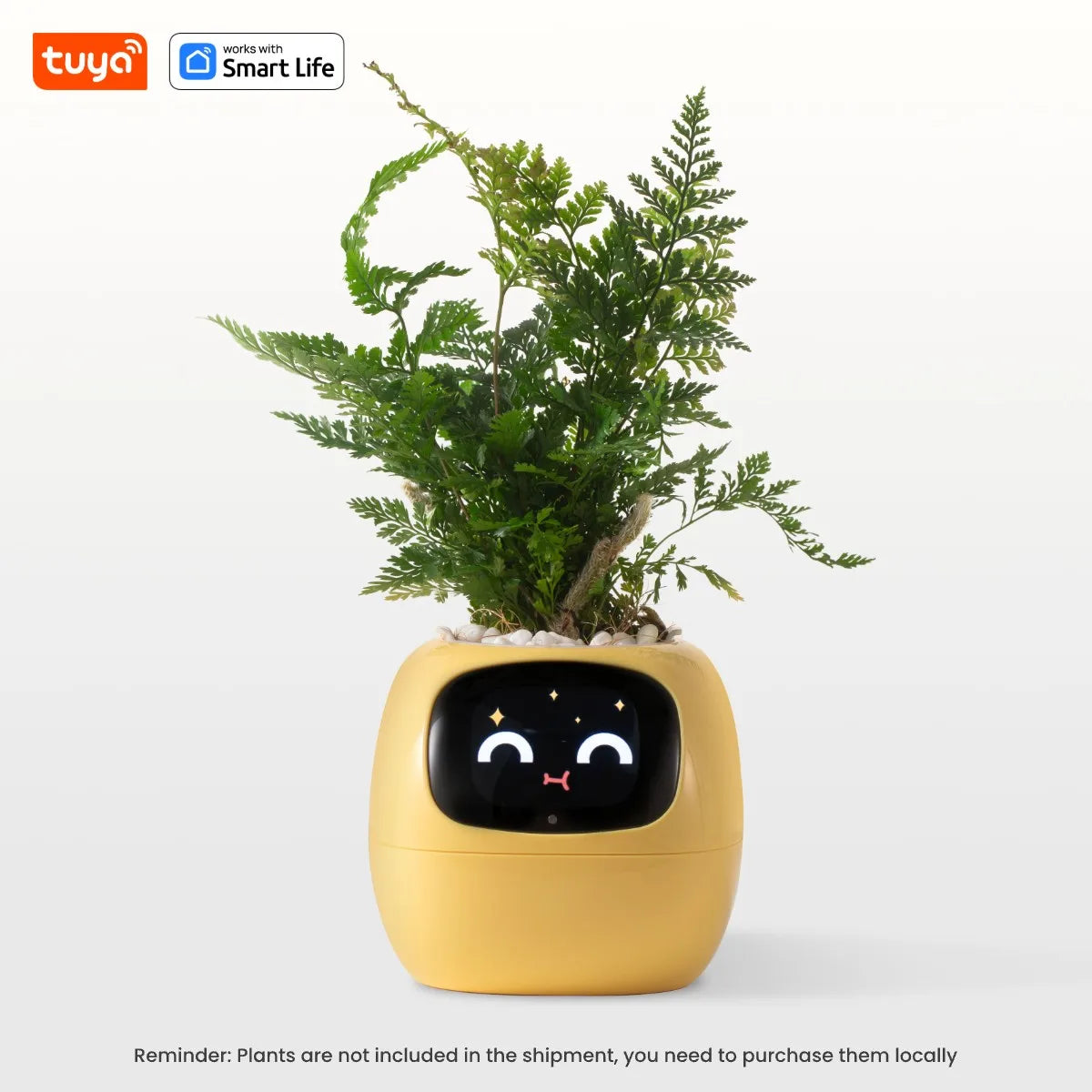 Tuya Ivy Smart Planter,Endless Fun Over