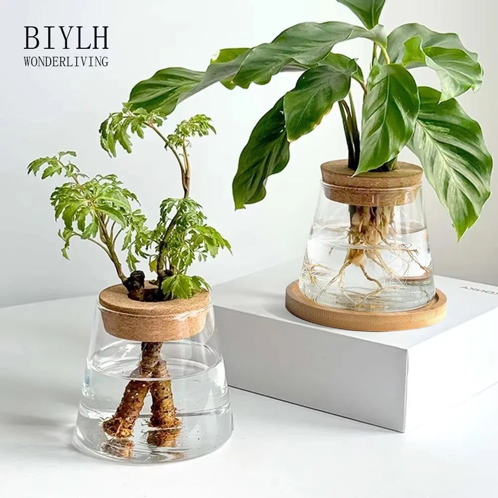 Glass Flower Pots Home Decoration