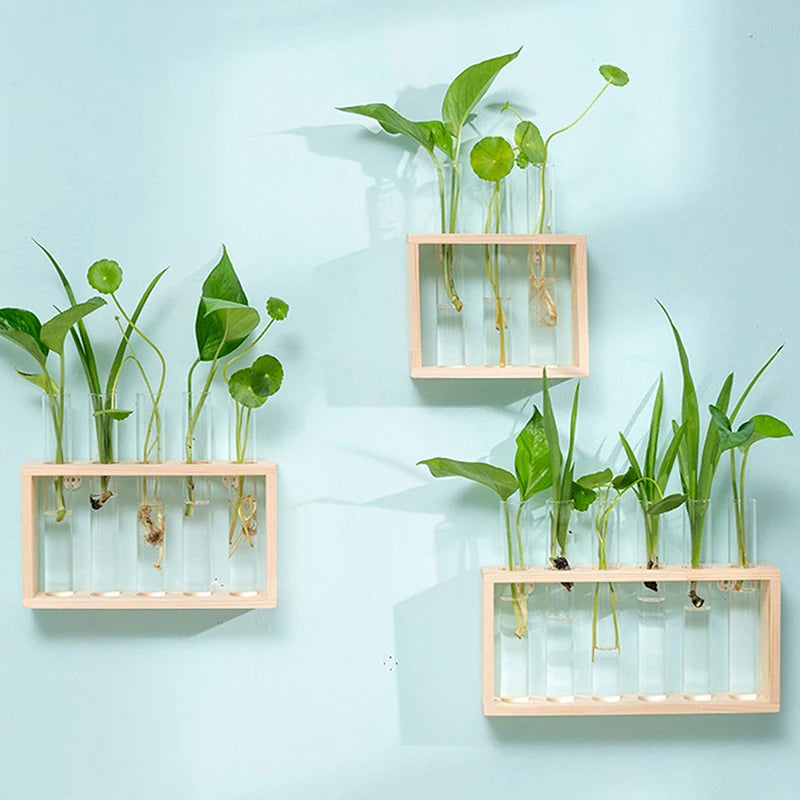 Transparent Glass Test Tube Vase