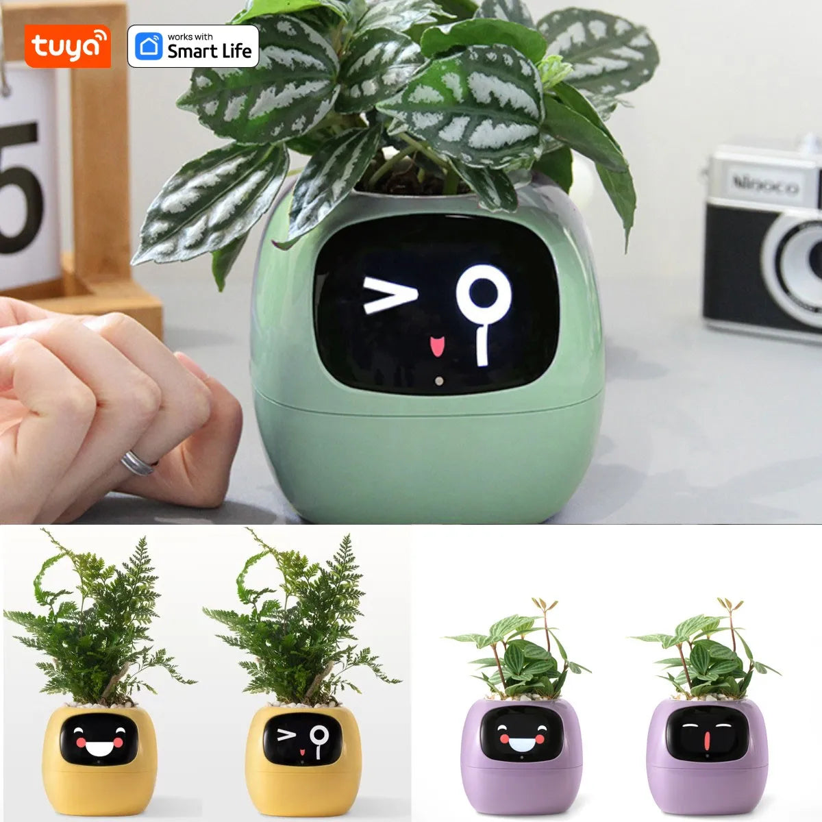Tuya Ivy Smart Planter,Endless Fun Over