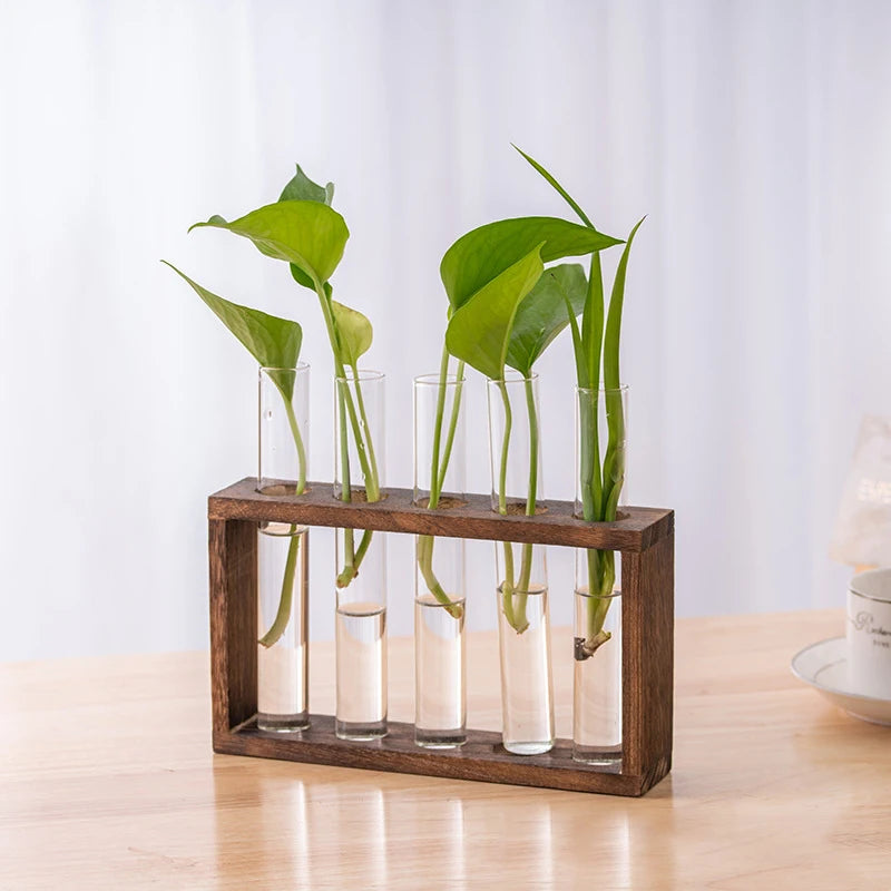 Transparent Glass Test Tube Vase