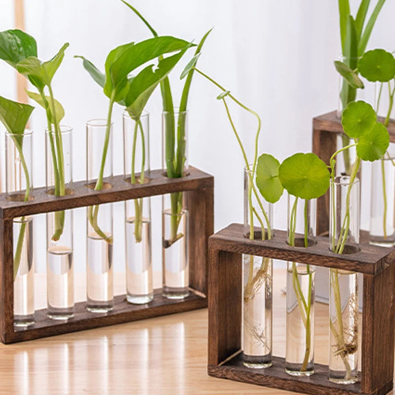 Transparent Glass Test Tube Vase