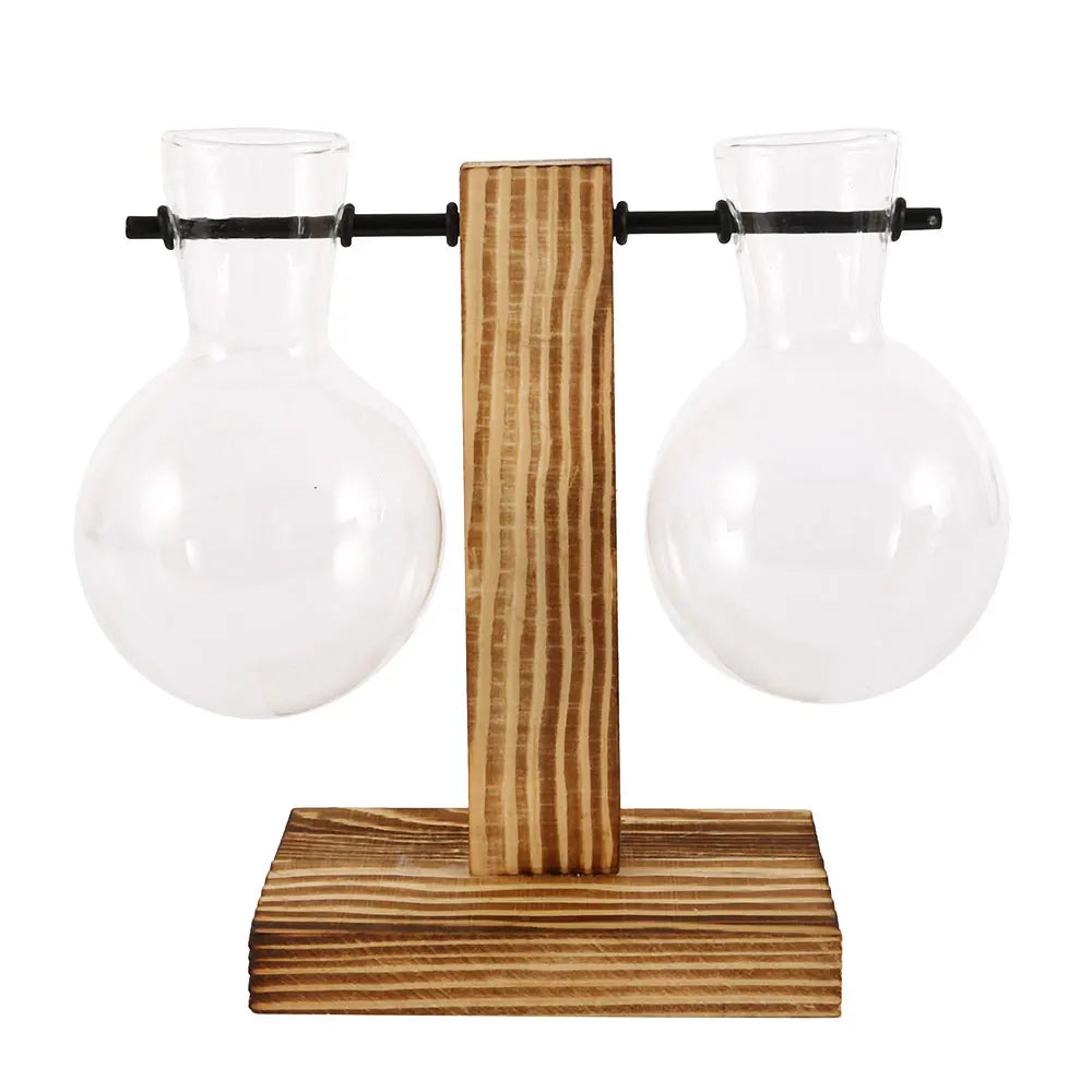 Creative Glass Desktop Planter